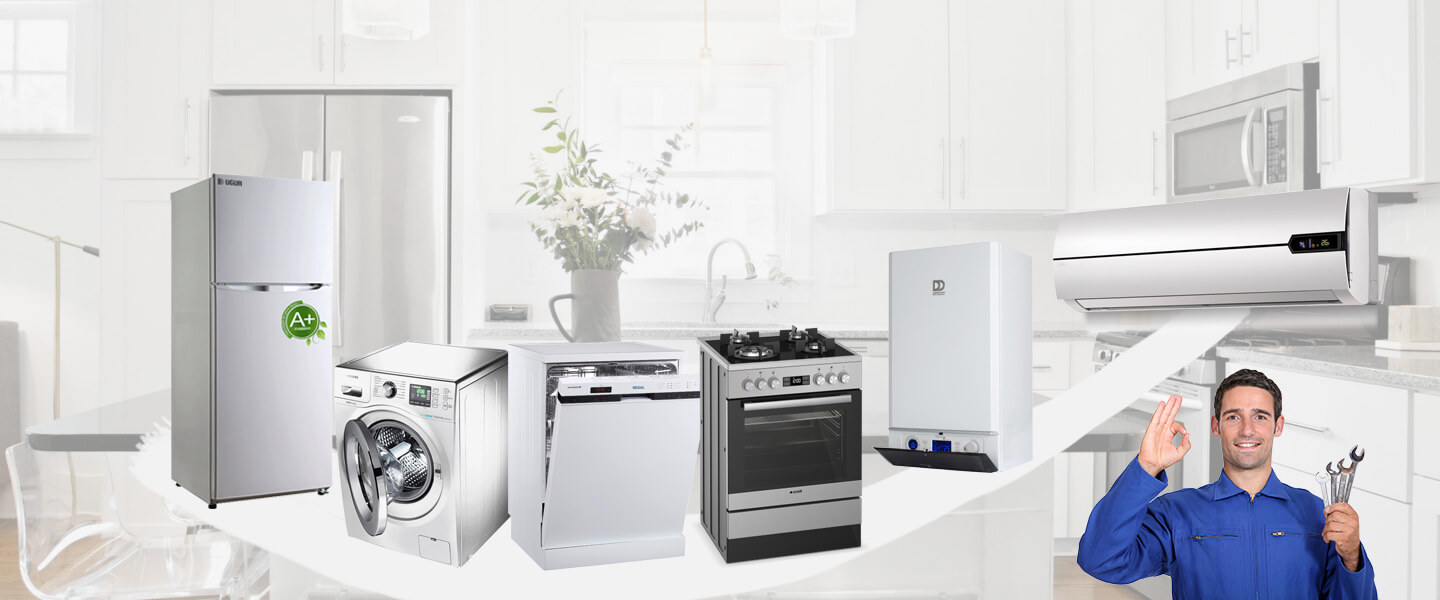 Havran Warmhaus Servisi